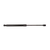 Bapmic Trunk Lid Strut for Volkswagen (Golf)