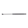 Bapmic Trunk Lid Strut for Mini [41626801258]
