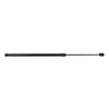 Bapmic Trunk Lid Strut for Mercedes Benz (X253)