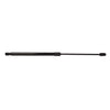 Bapmic Trunk Lid Strut for Audi (A3, S3, RS3)