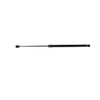 Bapmic Trunk Lid Strut for Audi (A3, S3, RS3)