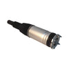 Bapmic Front Shock Absorber for Land Rover (RANGE ROVER) [LR038801]