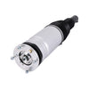 Bapmic Front Shock Absorber for Land Rover (RANGE ROVER) [LR038805]