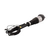 Bapmic Front Shock Absorber for Mercedes Benz (W166) [1663201313]