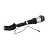 Bapmic Front Shock Absorber (Air) for Mercedes Benz (W166)