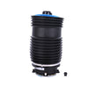 Bapmic Rear Shock Absorber Spring for Mercedes Benz [A2053200225]