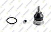 Teknorot Ball Joint H-213 for Honda/Rover CL, ACCORD, 600