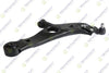 Teknorot Control Arm with Ball Joint HY-838 for Hyundai SANTA FE