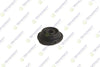 Teknorot Control Arm Bush SB-22 for Audi 100 CNT